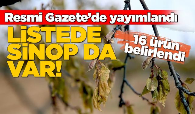 Zirai dondan etkilenen çiftçilere destek ödemesi