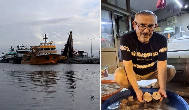 Torik bereketi lakerdacıların yüzünü güldürdü