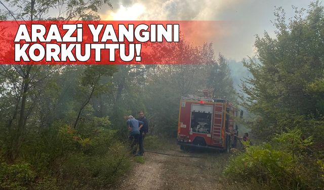 Arazide çıkan yangına müdahale edildi