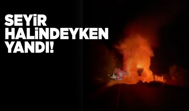 Seyir halindeki kamyonet yandı