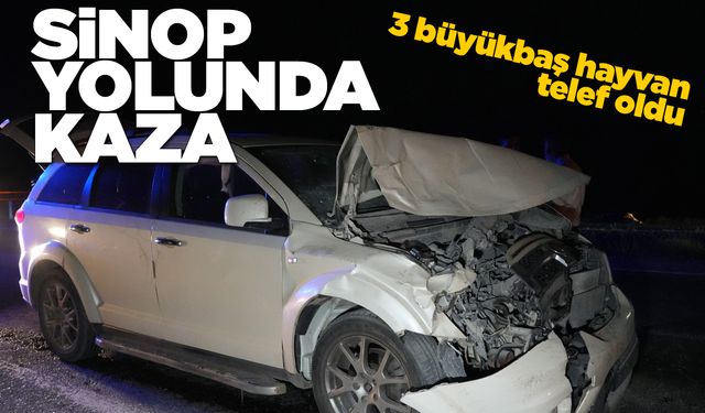 Yola çıkan hayvanlara otobüs ve cip çarptı