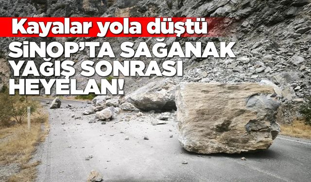 Sinop’ta sağanak sonrası heyelan