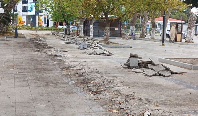 Sinop’ta beklenen çay bahçeleri için altyapı hazırlığı