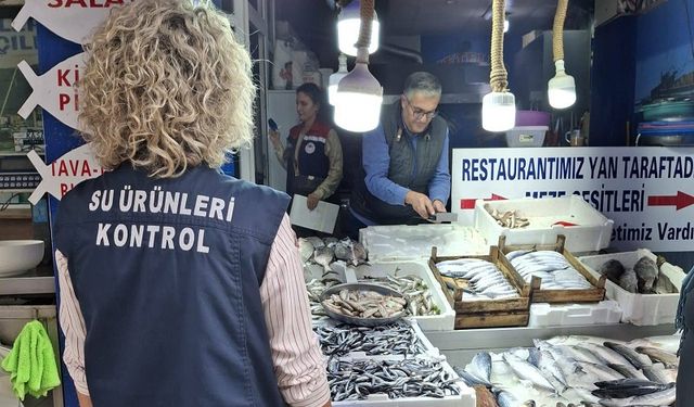 Sinop’ta balıkçılık denetimleri yapıldı