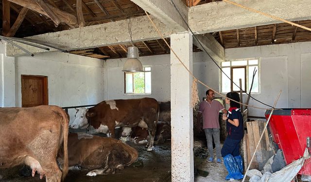 Tarım ve Orman Müdürlüğü ekipleri üreticilerle buluştu