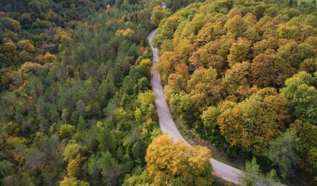 Sinop'ta sonbahar renkleri seyirlik manzaralar sunuyor