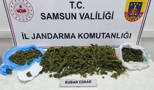 Narkotik operasyonunda 1 şüpheli yakalandı