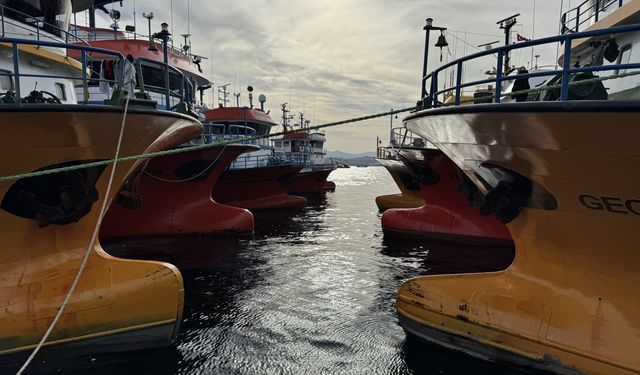 Sinop, hamsi avlamak için denize açılan tekneleri ağırlıyor