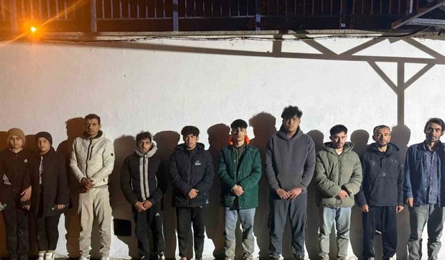 17 düzensiz göçmen yakalandı