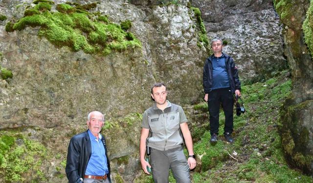 1700 rakımdaki 4 kilometrelik mağara turistlerin ilgisini çekiyor