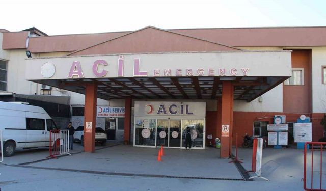 Çoban köpeği kavgasında silahlar konuştu: 2 yaralı