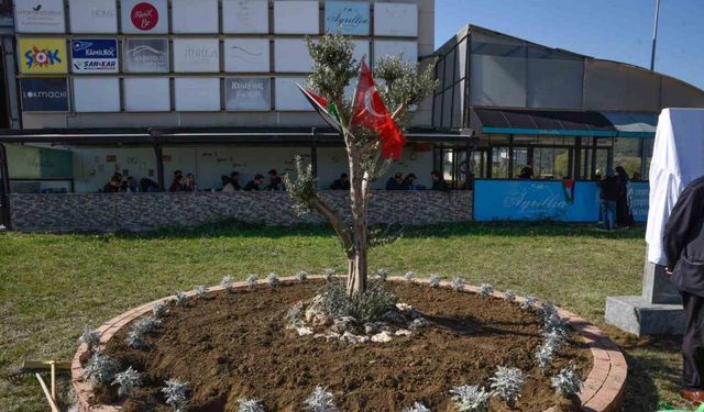 Filistin için "zeytin ağacı anıtı" dikildi