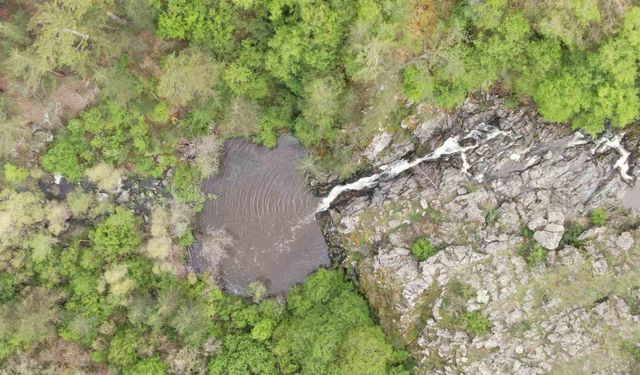 Ormanın içerisindeki şelale görenleri hayran bırakıyor