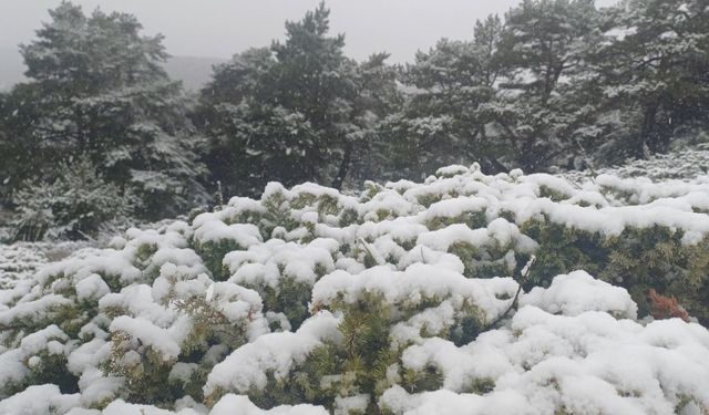 Tokat'ın yüksek kesimlerinde kar yağışı