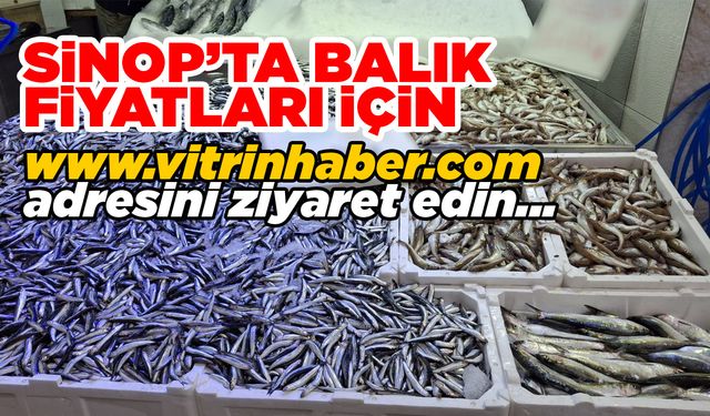 Sinop’ta balık bereketi: İşte fiyatlar…