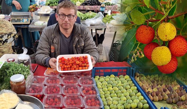 Sinop ormanlarının gizli şifası pazar tezgahlarında