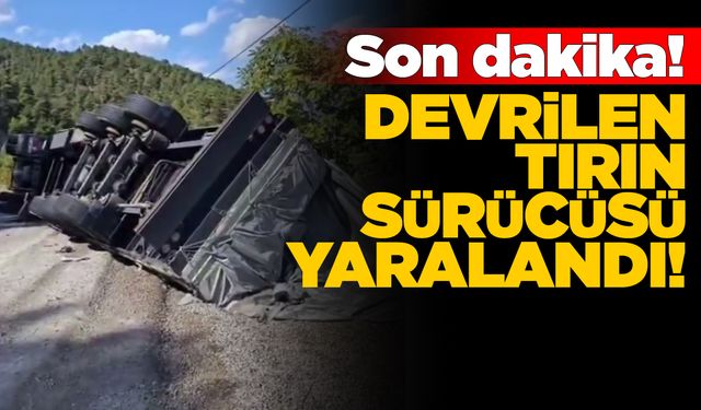 Sinop yolunda tır devrildi