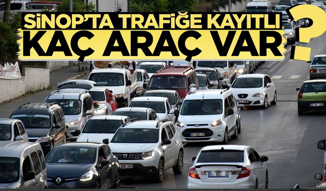 Sinop'ta araç sayısı artmaya devam ediyor