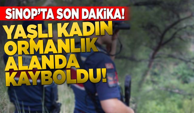 Sinop’ta yaşlı kadın ormanlık alanda kayboldu