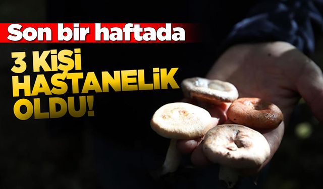 Sinop’ta mantar zehirlenmesi vakaları arttı