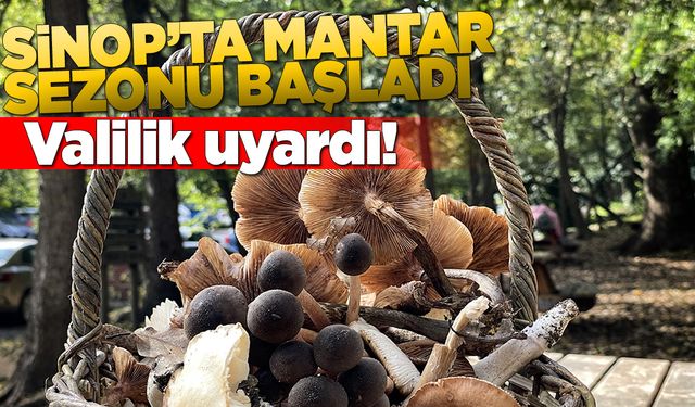 Sinop Valiliği'nden vatandaşlara “mantar toplama” uyarısı
