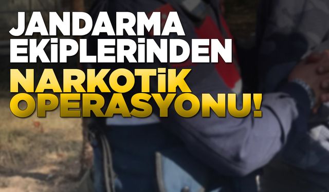 Sinop’ta yasaklı madde operasyonu: 2 gözaltı