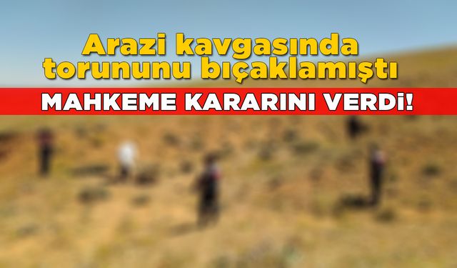 Torununu bıçaklayan dede hakkında karar çıktı