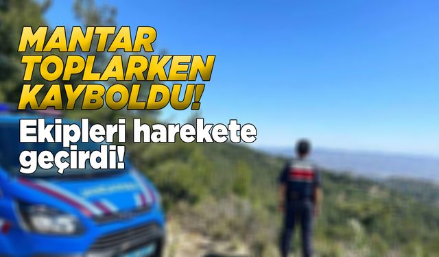 Mantar toplamaya giden vatandaş kayboldu!