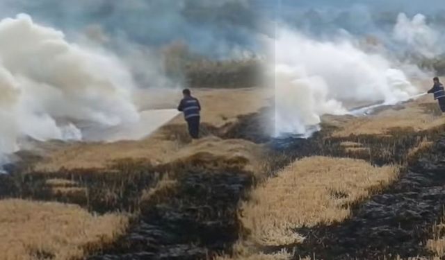 Sinop'ta anız yangını