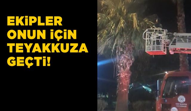 Ekipler sayesinde özgürlüğüne kavuştu!