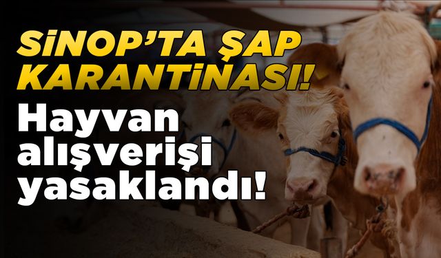 Sinop’ta bazı köyler şap nedeniyle karantinaya alındı