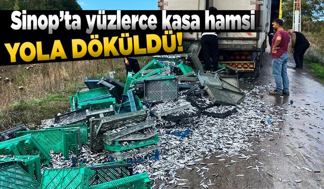 Sinop’ta kamyondan yola hamsi döküldü