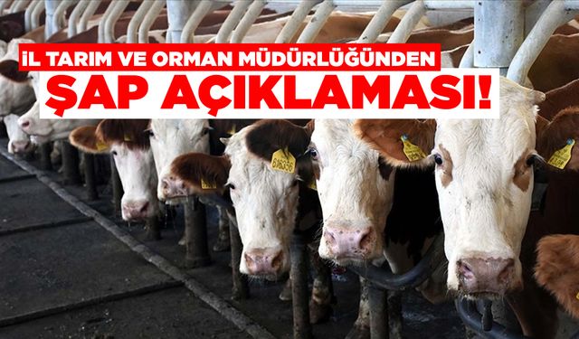 Sinop’ta şap hastalığı nedeniyle hayvan hareketlerine kısıtlama