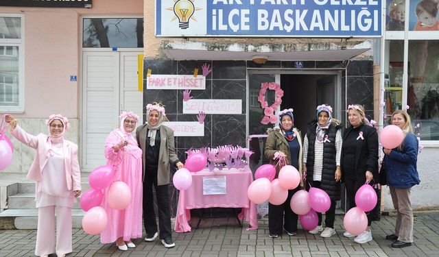 AK Parti Gerze’den meme kanseri farkındalığı