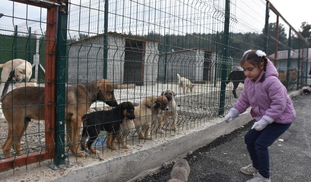 Hayvanseverler can dostlarını ziyaret etti