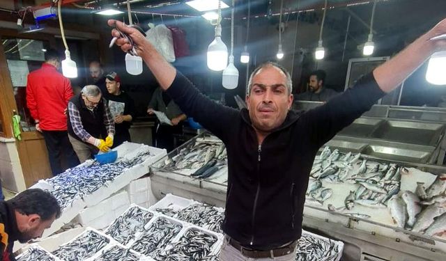 Bu hafta Sinop’ta balık fiyatları: Hamsi bol ve ucuz!