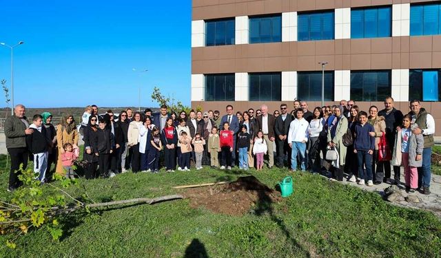 Diyabet Günü etkinliği kapsamında fidan dikildi