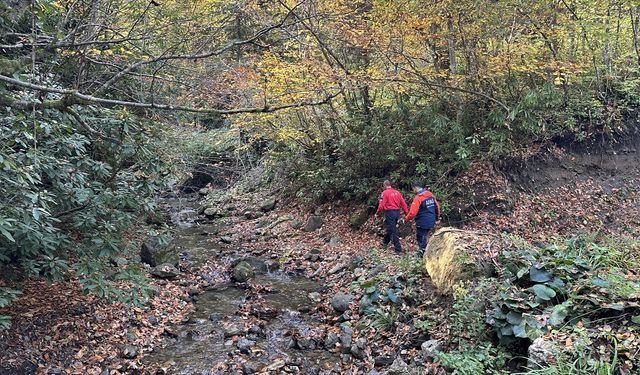 Kastamonu'da kaybolan anne ve oğlu henüz bulunamadı