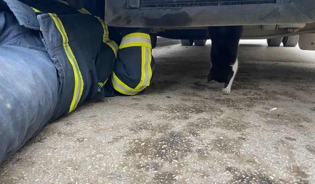 Minibüsün motoruna sıkışan kedi yavrusu kurtarıldı