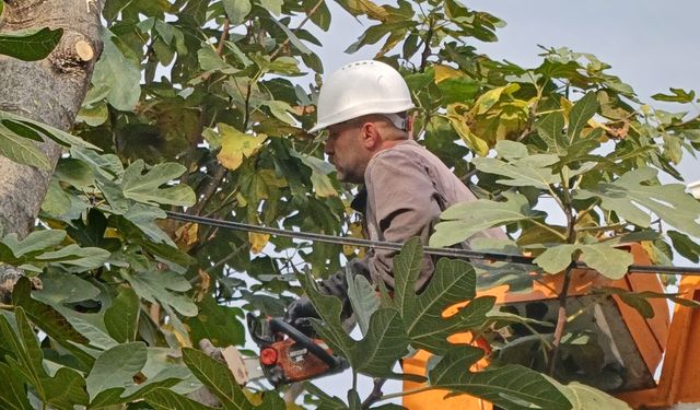 Park ve bahçelerde temizlik yapıldı