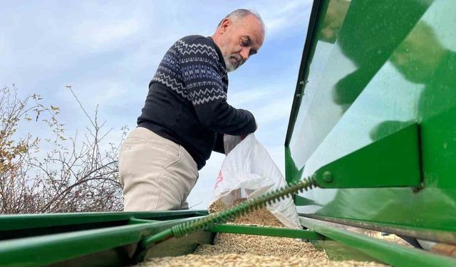 12 bin yıllık siyez toprakla buluştu