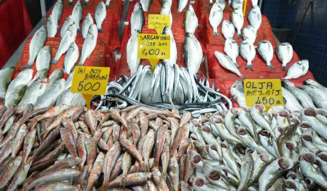 Balık fiyatlarında son durum