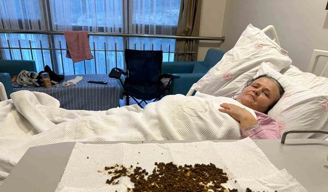 Karnından çıkan taşlar sayılamadı