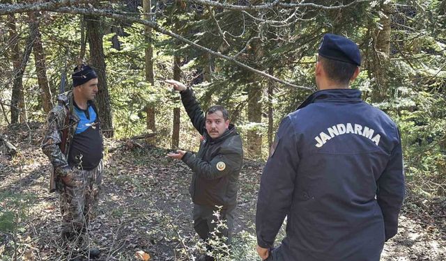 Ormanda kaybolan 88 yaşındaki adamdan ölü bulundu
