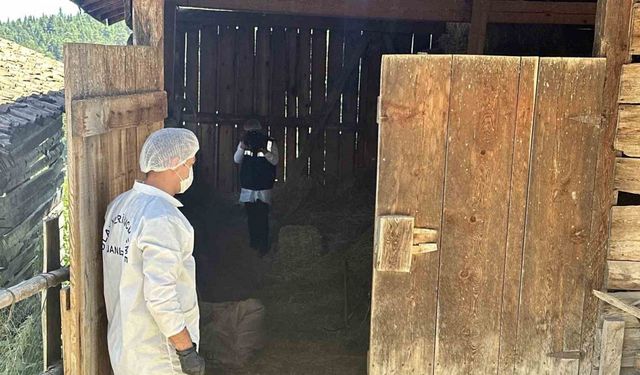 Samanlıkta cinayetinde yargılama devam ediyor