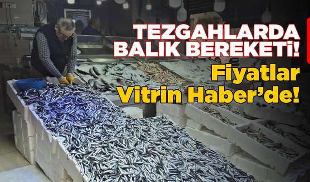 Balıkçı tezgahlarında bolluk devam ediyor