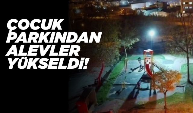 Çocuk parkında yakılan ateş tepki çekti
