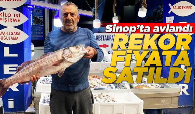 Oltayla yakalanan deniz levreği rekor fiyata satıldı