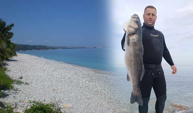 Amatör balıkçı 9 kilogramlık levrek avladı
