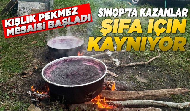 Sinop köylerinde kışlık pekmez mesaisi